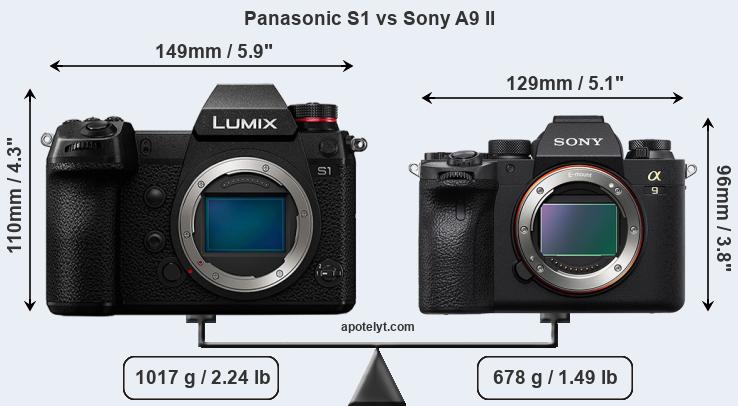 Size Panasonic S1 vs Sony A9 II