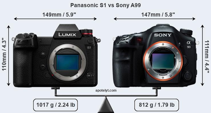 Size Panasonic S1 vs Sony A99