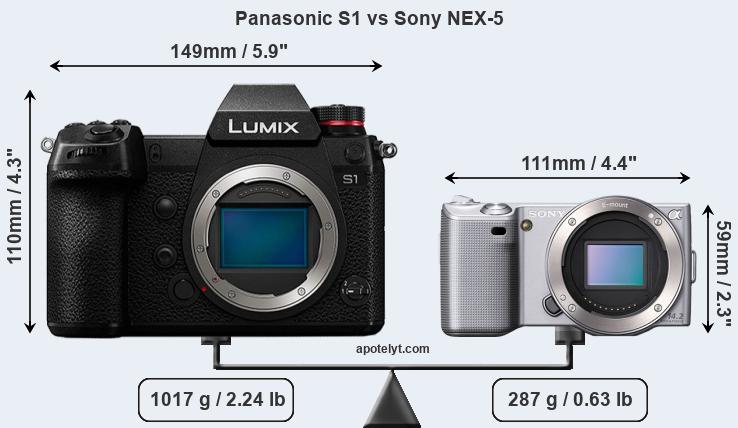 Size Panasonic S1 vs Sony NEX-5