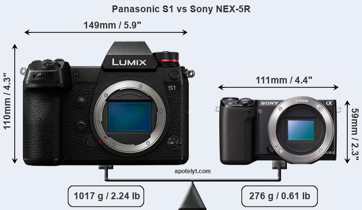 Size Panasonic S1 vs Sony NEX-5R