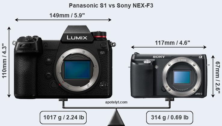 Size Panasonic S1 vs Sony NEX-F3
