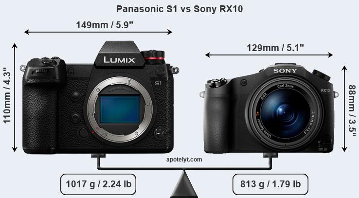 Size Panasonic S1 vs Sony RX10