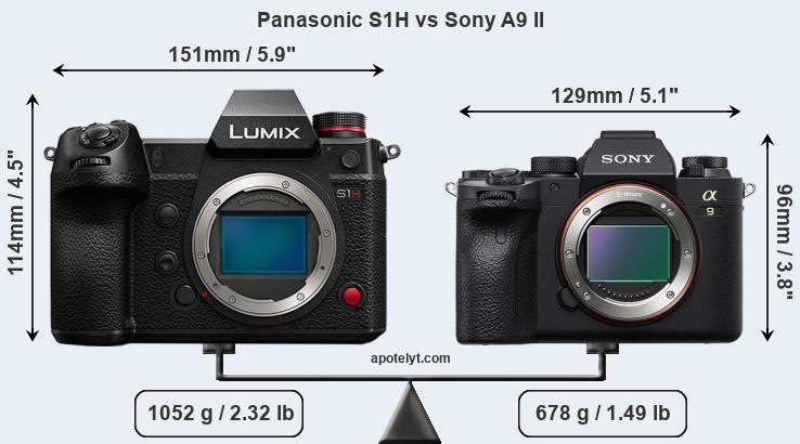 Size Panasonic S1H vs Sony A9 II