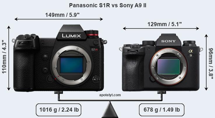 Size Panasonic S1R vs Sony A9 II