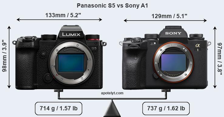 Size Panasonic S5 vs Sony A1