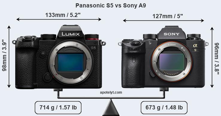Size Panasonic S5 vs Sony A9