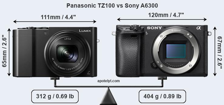 Size Panasonic TZ100 vs Sony A6300