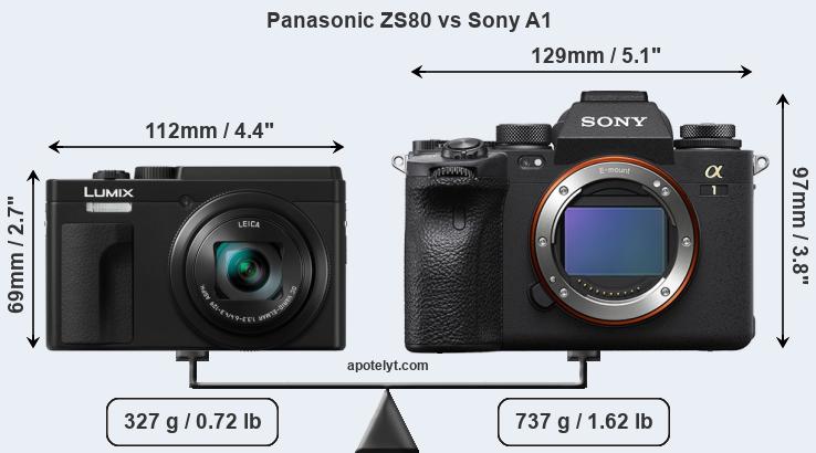 Size Panasonic ZS80 vs Sony A1