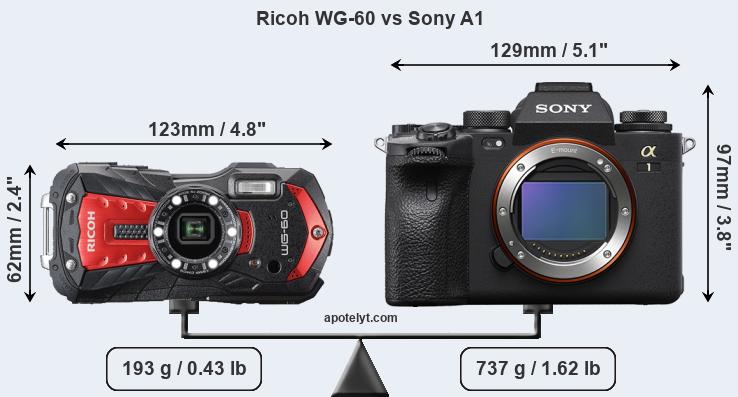 Size Ricoh WG-60 vs Sony A1