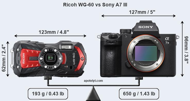 Size Ricoh WG-60 vs Sony A7 III
