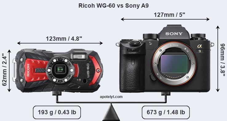 Size Ricoh WG-60 vs Sony A9