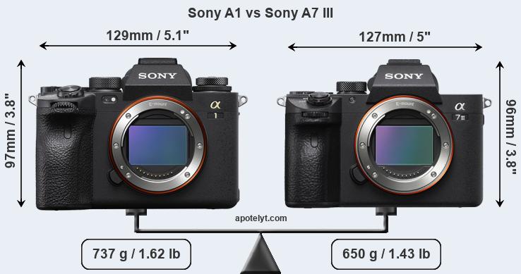 Size Sony A1 vs Sony A7 III