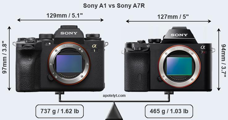 Size Sony A1 vs Sony A7R