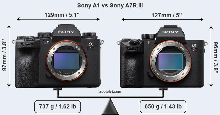 Size Sony A1 vs Sony A7R III