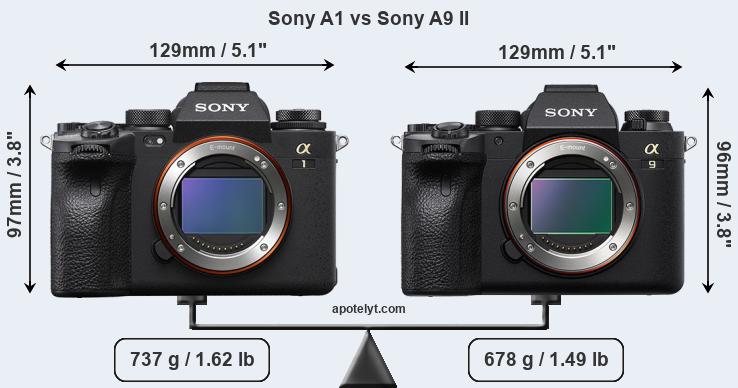Size Sony A1 vs Sony A9 II
