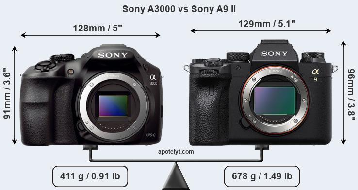 Size Sony A3000 vs Sony A9 II