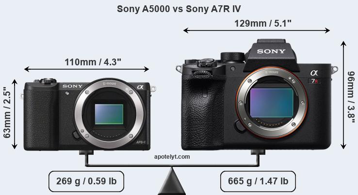 Size Sony A5000 vs Sony A7R IV
