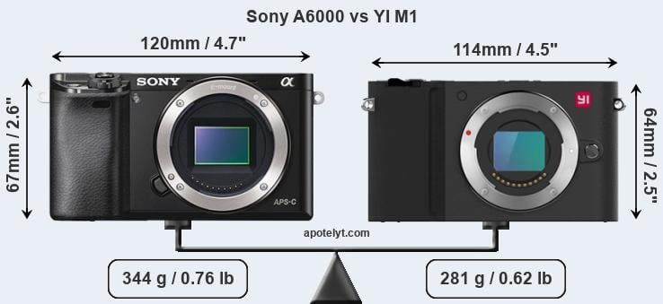 Size Sony A6000 vs YI M1