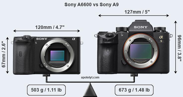 Size Sony A6600 vs Sony A9