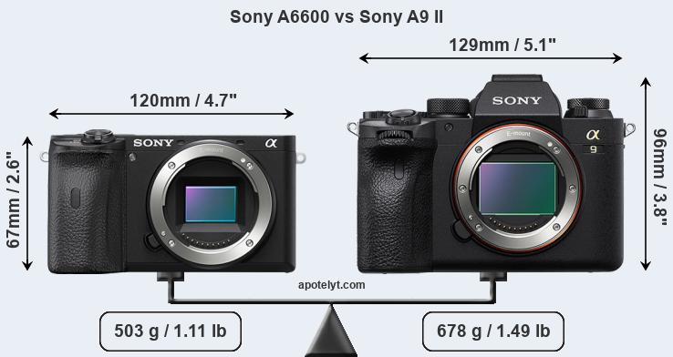 Size Sony A6600 vs Sony A9 II