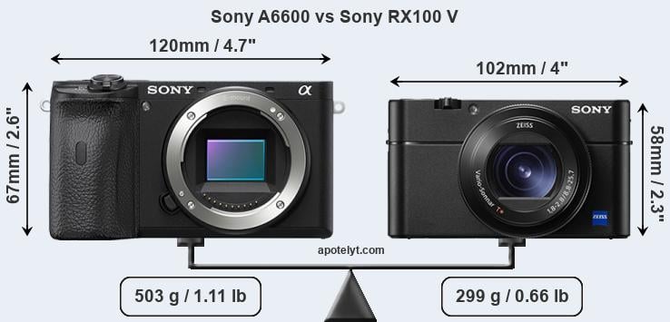 Size Sony A6600 vs Sony RX100 V