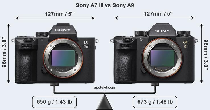 Size Sony A7 III vs Sony A9