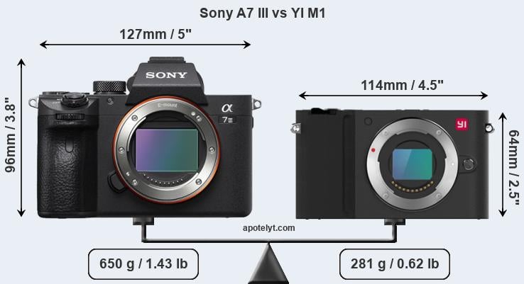 Size Sony A7 III vs YI M1