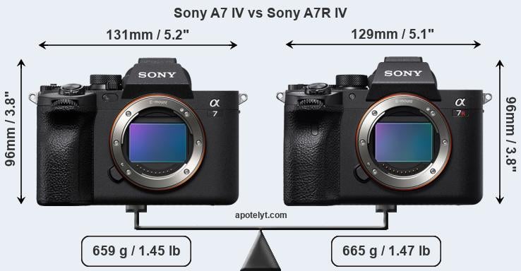 Size Sony A7 IV vs Sony A7R IV