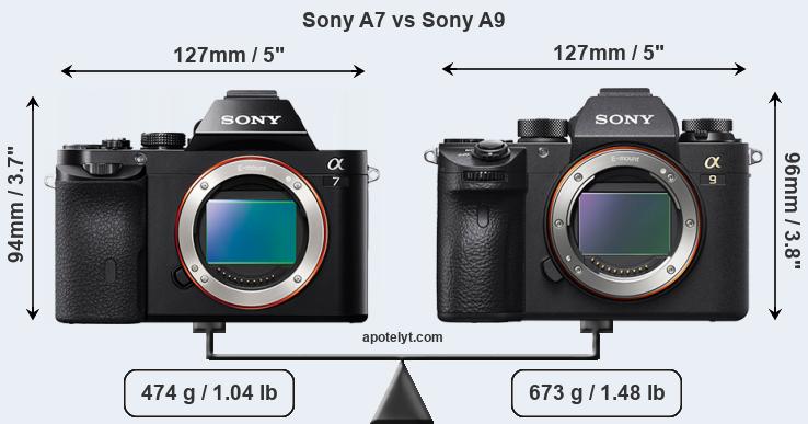 Size Sony A7 vs Sony A9