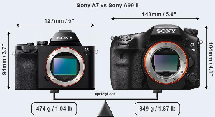 Size Sony A7 vs Sony A99 II