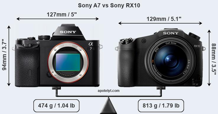 Size Sony A7 vs Sony RX10