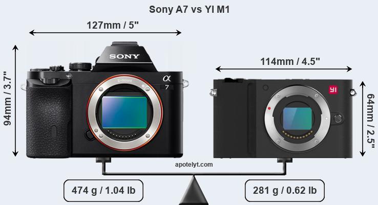 Size Sony A7 vs YI M1