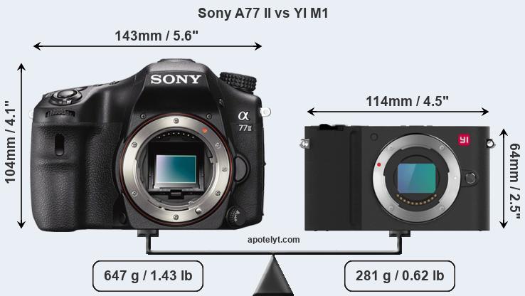 Size Sony A77 II vs YI M1