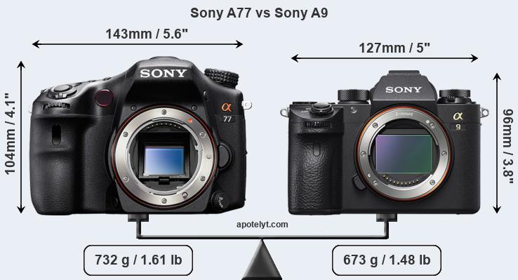 Size Sony A77 vs Sony A9