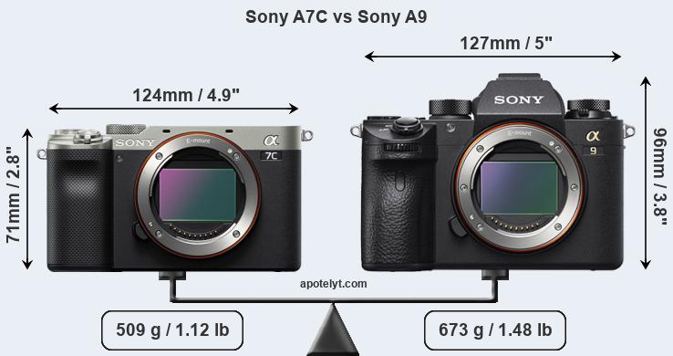 Size Sony A7C vs Sony A9