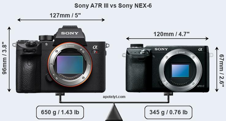 Size Sony A7R III vs Sony NEX-6