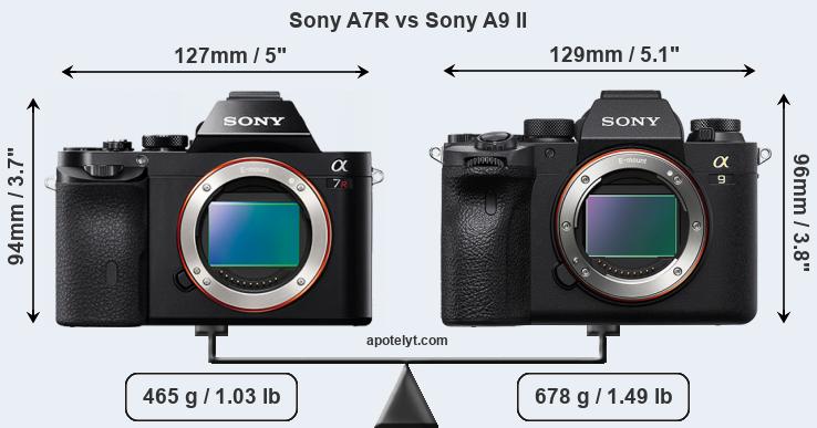 Size Sony A7R vs Sony A9 II