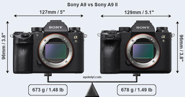 Size Sony A9 vs Sony A9 II