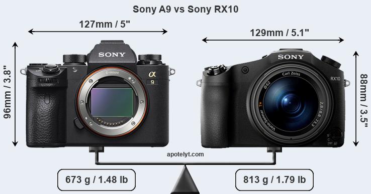 Size Sony A9 vs Sony RX10
