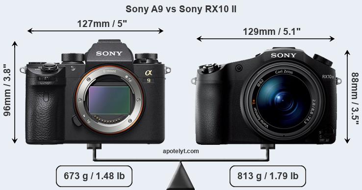Size Sony A9 vs Sony RX10 II