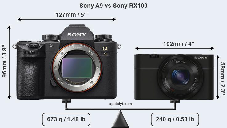 Size Sony A9 vs Sony RX100