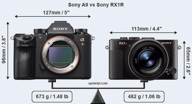 Size Sony A9 vs Sony RX1R