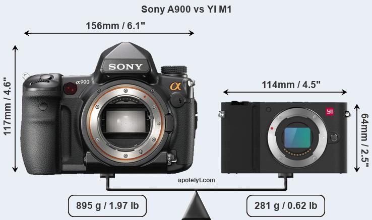 Size Sony A900 vs YI M1