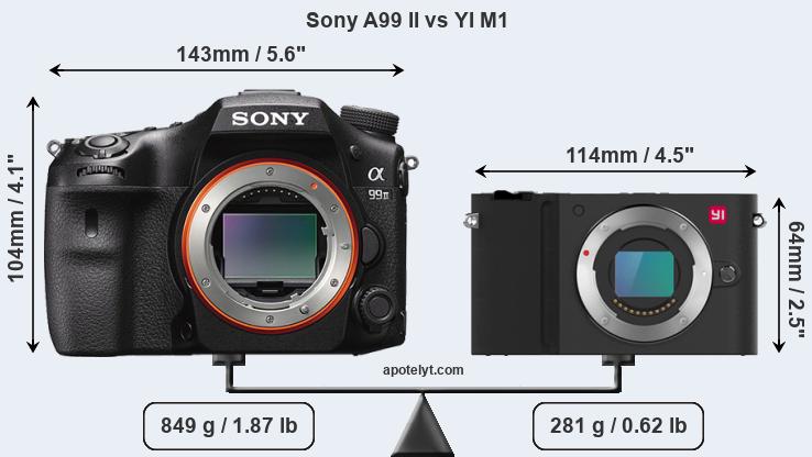 Size Sony A99 II vs YI M1