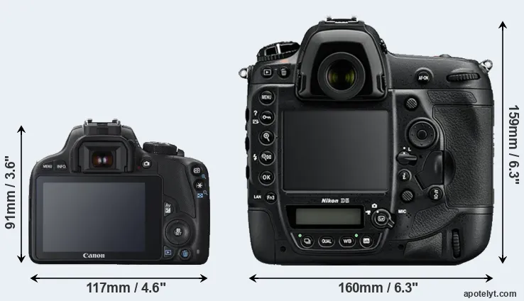 Comparison 100D or D5 rear
