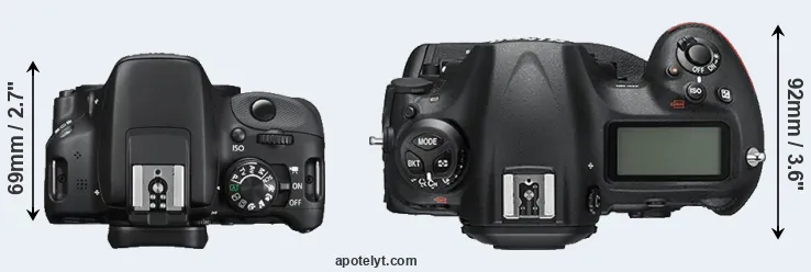 Compare 100D versus D5 top