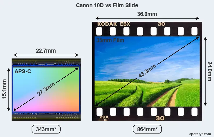 Canon 10D sensor measures