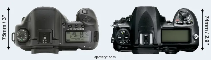 Compare 10D versus D200 top