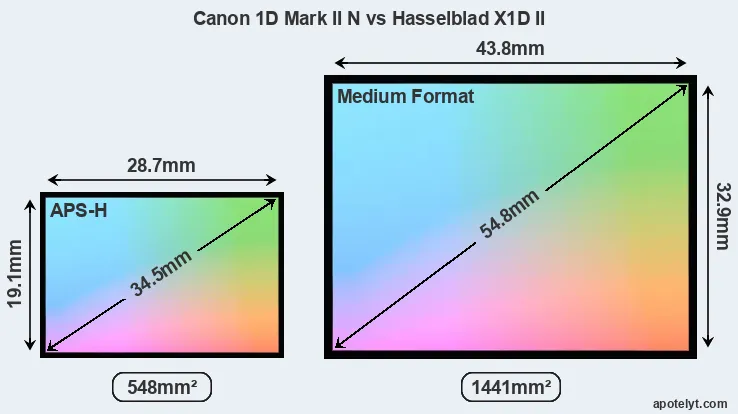 Canon 1D Mark II N and Hasselblad X1D II sensor measures