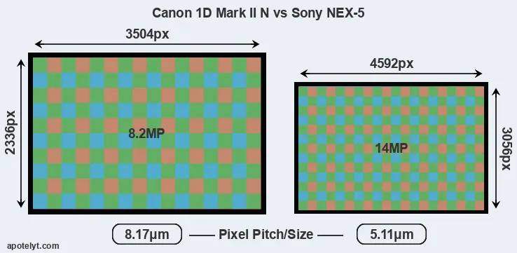 1D Mark II N versus NEX-5 MP